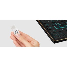 Kioxia USB flash disk, USB 3.0, 128GB, Hayabusa U301, Hayabusa U301, biały, LU301W128GG4