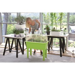 SZKLARNIA STOJĄCA ROZSADNIK 4W1 RESPANA PLANTER SET LIMONKA