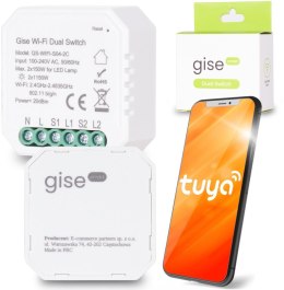 GISE SMART Dual Switch Podwójny sterownik oświetleniowy Tuya WiFi GISE