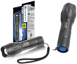 Latarka ręczna diodowa (LED) everActive FL-600 z diodą CREE XM-L2 18650 / 3x AAA (R03) EVERACTIVE