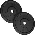 PHYSIONICS Zestaw obciążeń 2 x 5 kg, żeliwo, 31 mm Physionics