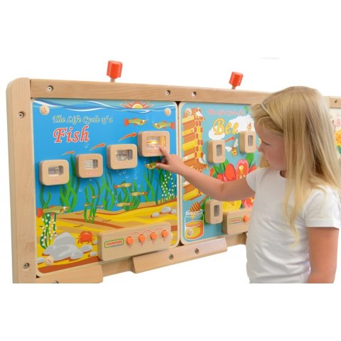 Cykl Życia Ryby Tablica Edukacyjna Masterkidz Podświetlana Masterkidz Cykl Życia Ryby Tablica Edukacyjna Masterkidz Podświetlana Masterkidz