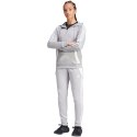 Spodnie damskie adidas Tiro 24 Sweat szare IS1011