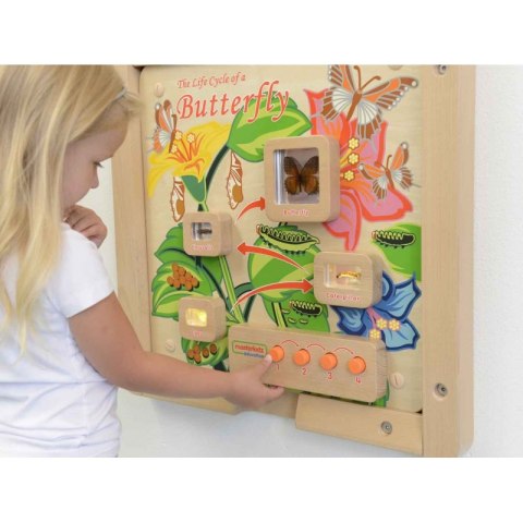 MASTERKIDZ Tablica Edukacyjna Ścienna Cykl Życia Motylka Masterkidz MASTERKIDZ Tablica Edukacyjna Ścienna Cykl Życia Motylka Masterkidz