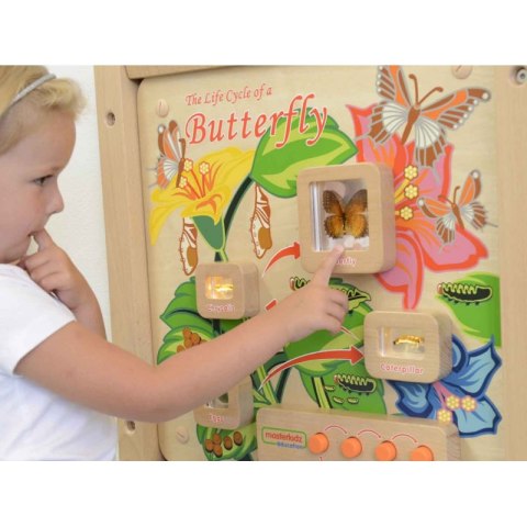 MASTERKIDZ Tablica Edukacyjna Ścienna Cykl Życia Motylka Masterkidz MASTERKIDZ Tablica Edukacyjna Ścienna Cykl Życia Motylka Masterkidz