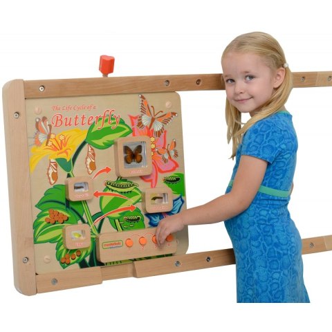 MASTERKIDZ Tablica Edukacyjna Ścienna Cykl Życia Motylka Masterkidz MASTERKIDZ Tablica Edukacyjna Ścienna Cykl Życia Motylka Masterkidz