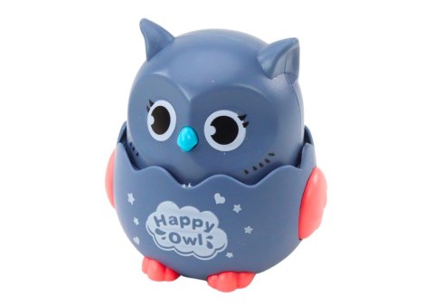 Mała Wesoła Sówka Napęd Frykcyjny 4 Kolory LEAN TOYS Mała Wesoła Sówka Napęd Frykcyjny 4 Kolory LEAN TOYS
