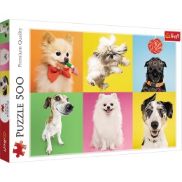 Puzzle 500 el. Psy Trefl 37378 Trefl Puzzle