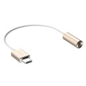 Kabel USB (2.0) USB C M- audio jack (3.5mm) F 0.1m reversible złoty Apacer box DC150 APDC150C-1