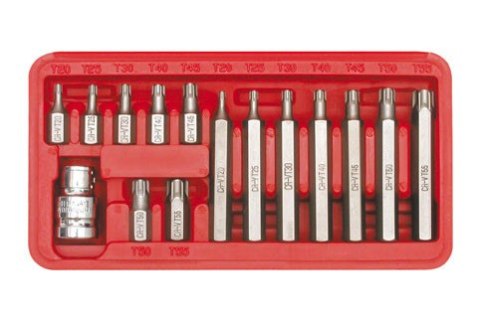 ZESTAW BITÓW TORX T20-T55 15 SZTUK