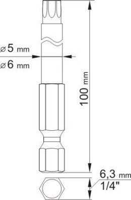 BIT, GROT DŁUGI TORX SECUR 2 SZT.T20*100MM T30*100MM