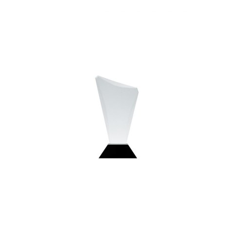 Trofeum szklane z Etui Trofeum szklane z Etui
