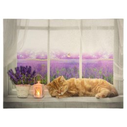 Obraz podświetlany - Fototapeta kot, 1 LED, 30 x 40 cm Nexos